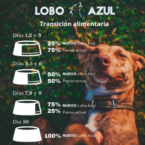 Piensos Lobo Azul Pollo 15 Kg Super Premium para Perros