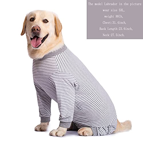 Pijama de una Pieza para Perros Grandes y medianos para la pérdida de Cabello, alergias, antifugas, protección de heridas, Alternativa de Cono (2XL, GIRS)