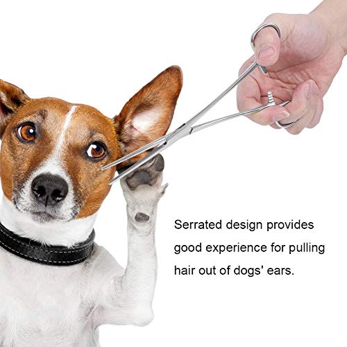 Pinzas de acero inoxidable para mascotas Pinzas hemostáticas Piercing Orejas de perro Pinzas para el pelo Extractor con punta recta Peluqueros para mascotas Herramientas de tijeras