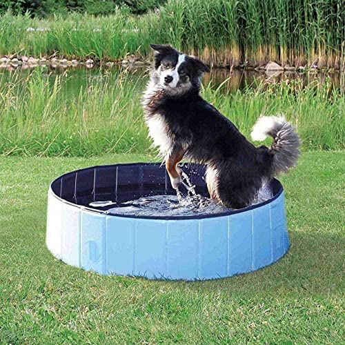 Piscina de plástico plegable para niños – Piscina de perro plegable de plástico duro, bañera portátil para niños perros y gatos, piscina para mascotas para interiores y exteriores