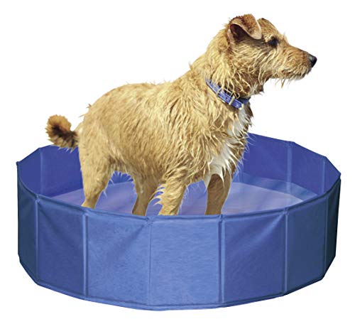 Piscina para perros Ø 80 cm, altura 20 cm