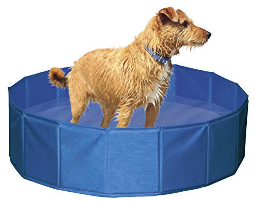 Piscina para perros Ø 80 cm, altura 20 cm