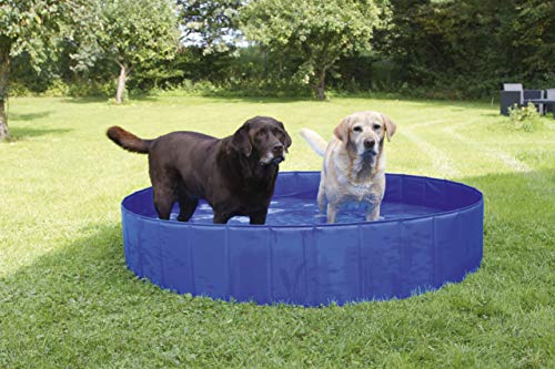 Piscina para perros Ø 80 cm, altura 20 cm