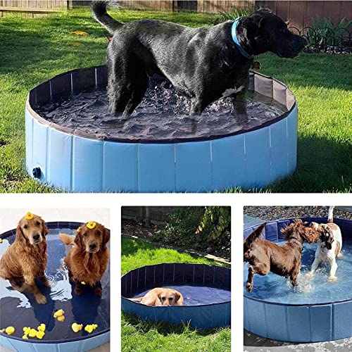 Piscina para Perros - Piscina Perros y Gatos Bañera Plegable PVC Antideslizante y Resistente al Desgaste,Juguetes de Bañera para Niños Mascotas Uso Interior Al Aire