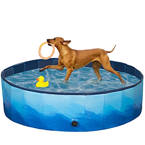 Piscina plegable para mascotas, para exteriores, color azul, PVC, redondo, para niños, piscinas de mascotas portátiles sobre el suelo para perros (120 x 30)