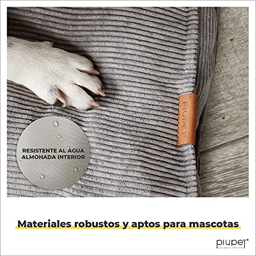 PiuPet® Cama para Perros (Medium) - Manta mullida para Perros Grandes y pequeños - Cesta para Perros con Funda extraíble y Lavable - Almohada para Perros de Material espumoso