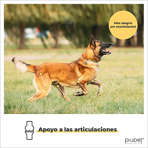 PiuPet® Pastillas Veganas para Las articulaciones de los Perros - Fabricado en Alemania - Alimento complementario sin azúcares añadidos - Adecuado para Todos los Perros - Gran aceptación