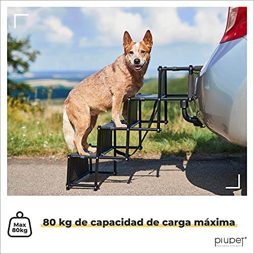 PiuPet® Rampa para Perros Grandes y pequeños - Cargable hasta 80 kg - Utilizable para Todos los vehículos - Escaleras para Perros Plegables