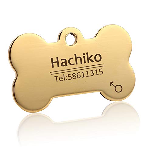 Placas Para Perros Accesorios de cuello de perro de acero inoxidable Accesorios para perros personalizados Perro Gato ID Nombre de etiqueta Teléfono Grabado gratis Múltiples idiomas Chapas Para Perros