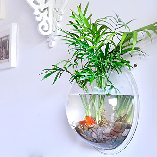 Plcnn 11.2 pulgadas de pared de acrílico colgante de pecera, montado en la pared, florero de plantas de peces acuarios para plantas de peces Ecosphere decoración del hogar