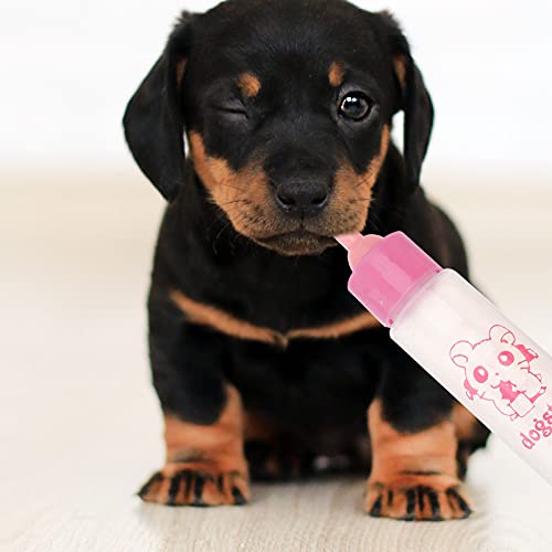 POPETPOP Biberones de Gatitos para Amamantar 4 Unidades de Biberones para Mascotas Biberón Alimentador de Leche para Cachorros Biberones para Recién Nacidos Cachorros Animales Pequeños