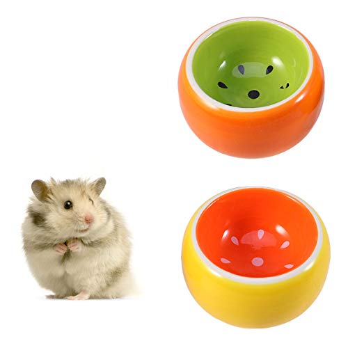 POPETPOP - Cuencos de cerámica para animales pequeños – Pack de 2 comederos para hámster y cuencos de agua – Cuenco para cobayas, ratón de carreras, rata, hámster sirio, comedero para erizos