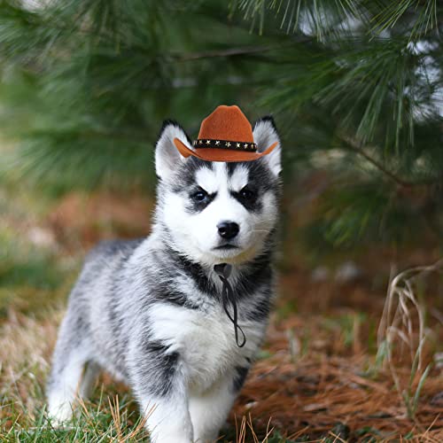 POPETPOP Funny Pet Costume Accessories Set Cowboy Hat Costume Disfraz Accesorio Cat Pequeño Perro Cowboy Hat Holiday Costume Pet Party Decoration