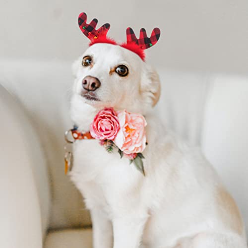 POPETPOP Perro Navidad Alce Reno Astas Diademas para Mascotas Ciervos Astas para La Cabeza Fiesta de Vacaciones Aro para El Pelo de Mascota Disfraz de Navidad para Gato Perro Foto