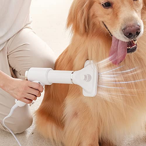 Portátil 2-en-1 Dog Secador de Pelo Hogar Perro Peinera Pincel Cepillo Bloper Soplador Ajustable Speed ​​Temperatura Bajo Ruido Suministros for Pet (Color : US Plug)