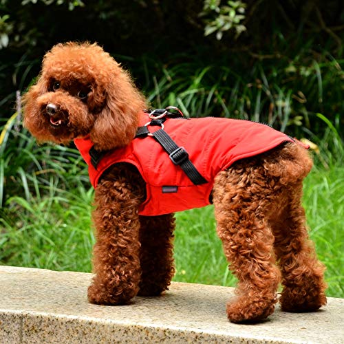 Poseca Chaqueta de Abrigo para Perros con arnés para Perros pequeños y medianos Chaqueta de Abrigo para Perros a Prueba de Agua Chaleco Acolchado cálido Mascota Cachorro de Perro Ropa Chaleco