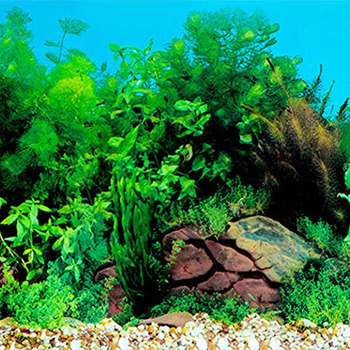 ppactvo Fondo Acuario DecoracióN Acuario 3D HD Tridimensional Decoracion Peceras Y Acuarios Doble Cara Pegatinas De Pecera Adornos para Peceras Acuario Decoracion para Pecera Random Pattern,62 * 40cm