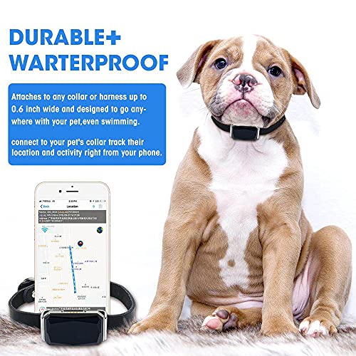 Prasacco Rastreador GPS para collar de perro, multifuncional (SOS, reloj despertador, podómetro, ubicación y monitoreo de actividad), IP67 impermeable, siempre sabe dónde está su perro