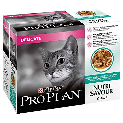 PRO PLAN CAT pienso húmedo saborear 850gr pescado delicados Comida mojado gato