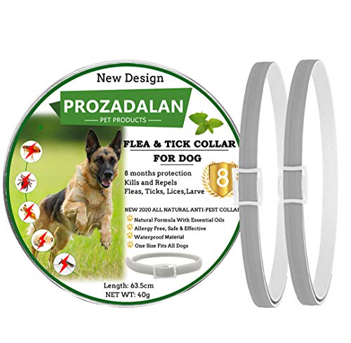 PROZADALAN Nuevo Diseño - Collares Antiparasitario para Perros, Eficaz Collar Antiparasitos Perros contra Pulgas y Garrapatas, 63cm Ajustable e Impermeable para Mascotas Pequeñas, Medianas y Grandes