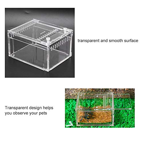 Pssopp Caja de cría de Reptiles Acrílico Transparente Flameer Reptiles Tanque de Insectos Caja de alimentación de Reptiles Contenedor de Alimentos para Mascotas Serpientes Tortugas Terrario