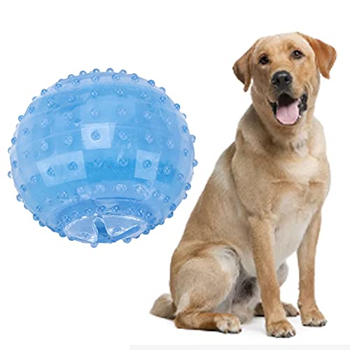 Pssopp Mascota refrescante Masticar Juguete Hueso y Pelota Palo Cachorro Juguetes de refrigeración interactivos para el Verano para Perros medianos Grandes(Tipo de Bola)