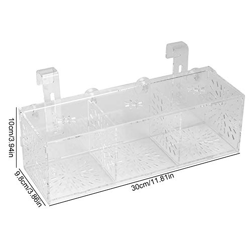 Pssopp Tanque de Peces Cría Caja de Aislamiento Criador Aislador Divisor Hatching Box Acrílico Transparente Acuario Hatchery Incubadora Titular(30CM)