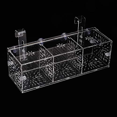 Pssopp Tanque de Peces Cría Caja de Aislamiento Criador Aislador Divisor Hatching Box Acrílico Transparente Acuario Hatchery Incubadora Titular(30CM)