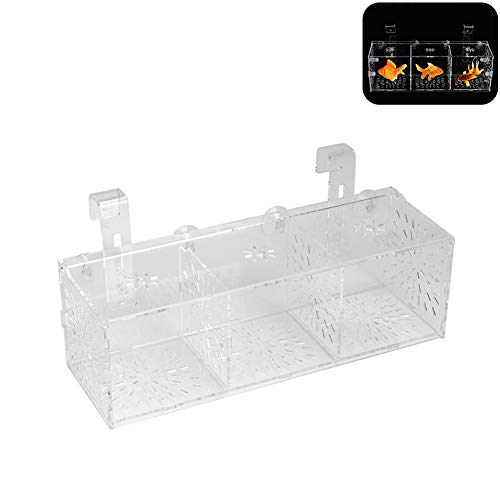 Pssopp Tanque de Peces Cría Caja de Aislamiento Criador Aislador Divisor Hatching Box Acrílico Transparente Acuario Hatchery Incubadora Titular(30CM)