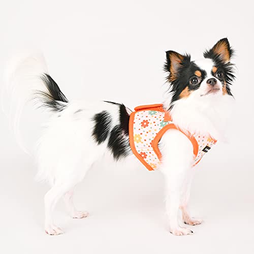 Puppia Arnés para Perros - Vinca Harness B - Chaleco para Perros pequeños y medianos