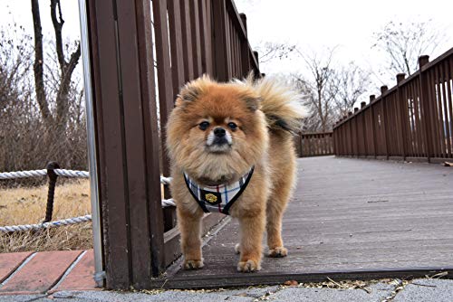 PUPPIA Junior - Arnés para Perros pequeños - Ligero y Super Suave - También Puede Utilizarse como arnés para Cachorros - Arnés antitracción para Perros