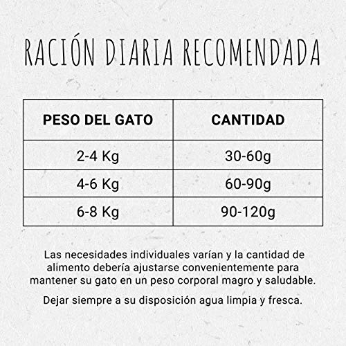 Purina Beyond Grain Free pienso Natural para Gato con Salmón 6 x 1,2 Kg - 1 Sacos