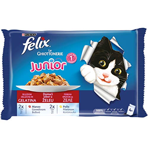 Purina Felix Le Ghiottonerie - Alimento húmedo para Gatos con Berenjena y Pollo, 40 Bolsas de 100 g