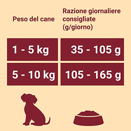 Purina One Mini croquetas para Perro Adulto Rico en Ternera, con arroz, para Perros de hasta 10 kg – 8 Bolsas de 800 g Cada uno