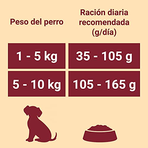 Purina ONE Mini Pienso para Perro Adulto Buey y Arroz 4 x 3 Kg