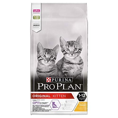 Purina Pro Plan Junior Chicken Comida para Gatos - 10000 gr