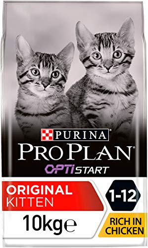 Purina Pro Plan Junior Chicken Comida para Gatos - 10000 gr