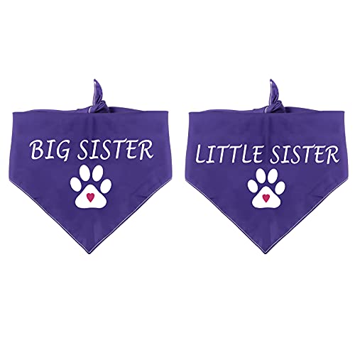 PXTIDY - Pañuelo para perro (2 unidades), diseño con texto en inglés "Big Sister Little Sister", color morado