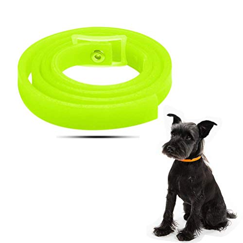 Pywee Collar de pulgas de Animales, Repelente Natural de garrapatas y garrapatas para Perros y Gatos, Detiene la picadura y Pica, Mata a los Mosquitos, Las garrapatas, Mantiene a su Mascota Saludable