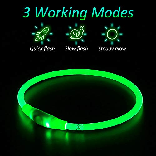 PZRLit Collar Luminoso Perro Recargable, Collar Luz Perros Impermeable, Collar LED Perro para Perros Pequeños Cachorro, Medianos y Grandes, Collar Reflectante Perro de Seguridad-Verde