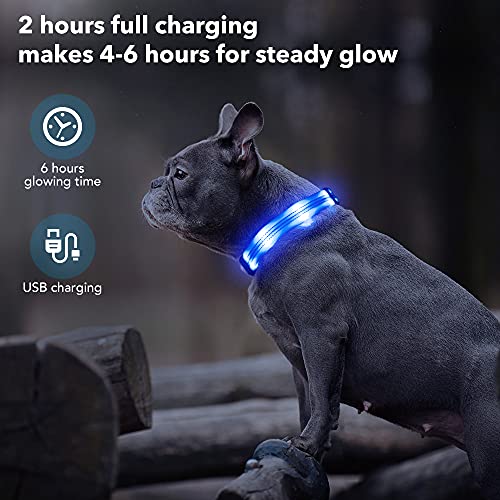 PZRLit Collar Luminoso Perro Recargable con 3 Modos de iluminación Collar Luz Perro Noche de Seguridad, Ajustable para Cachorros Pequeños, Medianos y Grandes Collar LED Perro Luminoso-Azul,Medio