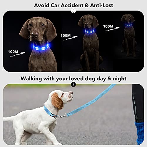 PZRLit Collar Luminoso Perro Recargable con 3 Modos de iluminación Collar Luz Perro Noche de Seguridad, Ajustable para Cachorros Pequeños, Medianos y Grandes Collar LED Perro Luminoso-Azul,Medio