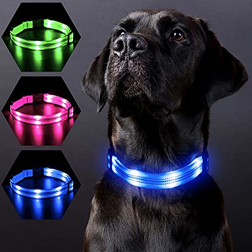 PZRLit Collar Luminoso Perro Recargable con 3 Modos de iluminación Collar Luz Perro Noche de Seguridad, Ajustable para Cachorros Pequeños, Medianos y Grandes Collar LED Perro Luminoso-Azul,Medio