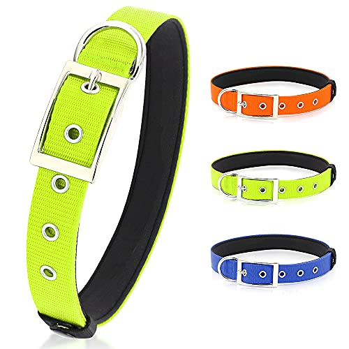 PZRLit Collar Perro Resistente con Suave Acolchado Neopreno, Hebilla de Metal y Anillo en D, Ajustable Transpirable Collares Perros Ancho para la Caminata Diaria Corriendo-Verde,Medio