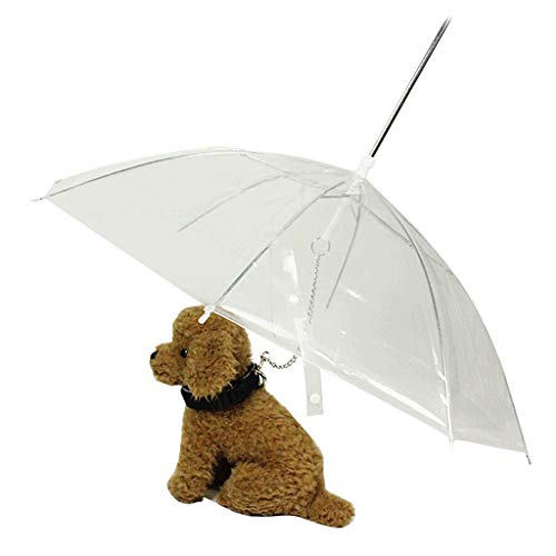 QERMULA portátil Transparente Caminar pequeño Perro Gato Mascota Paraguas con Cadena Mantener seco bajo la Lluvia Herramienta de Equipo para Exteriores Paraguas para Mascotas Transparente + Plata