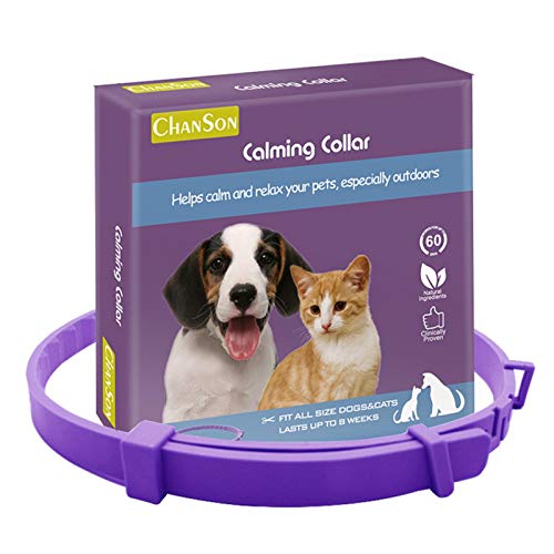 qianele Collar calmante para Perros Collar de Perro de ansiedad Ajustable para Gatos, cómodo Efecto calmante de Larga duración para Todo Tipo de Perros y Gatos