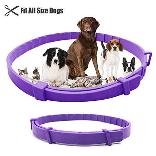 qianele Collar calmante para Perros Collar de Perro de ansiedad Ajustable para Gatos, cómodo Efecto calmante de Larga duración para Todo Tipo de Perros y Gatos