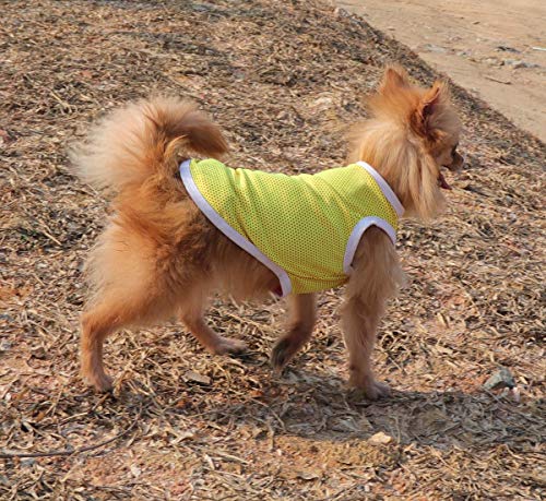 QiCheng & LYS Camiseta para Perros de 2 Piezas, Chaleco Deportivo para Perros, Suave y Transpirable Adecuado para Perros pequeños y medianos (Rosado/Amarillo, Small)