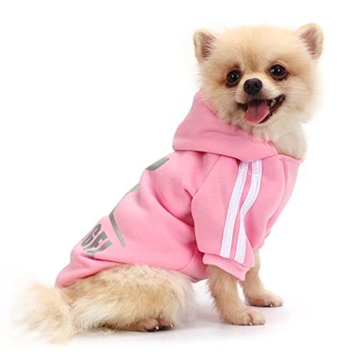 QiCheng&LYS Dog Hoodie,Jersey Perros,Sudadera Perro Ropa ParaCachorros, Sudadera para Chihuahua Cómodo Y Cálido (Rosa, Small)