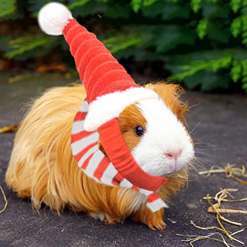 Qingsi 1 juego de disfraz de animal de Navidad, sombrero de Papá Noel, disfraz de Navidad de animales pequeños, sombrero y bufanda, bufanda para conejo, hámster, conejillo de indias, conejo, gatos